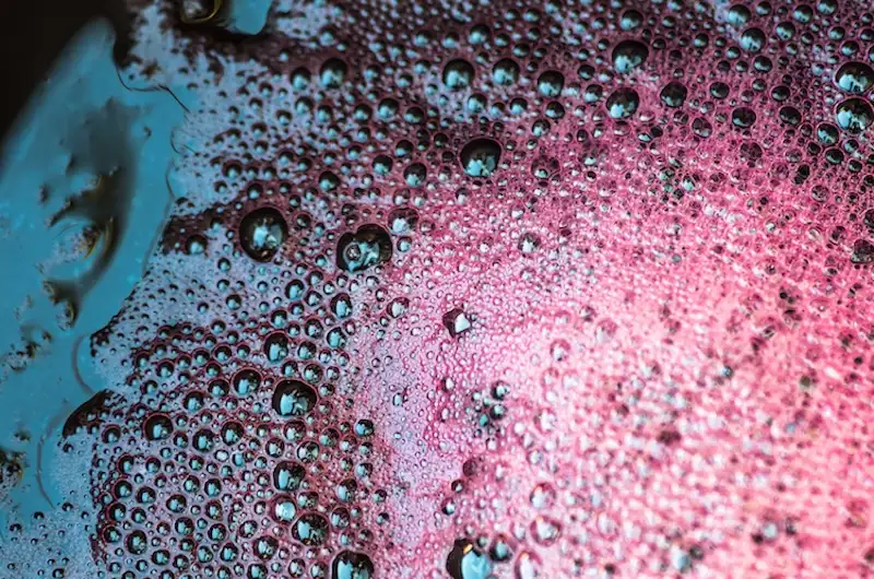 Fermentazione Alcolica