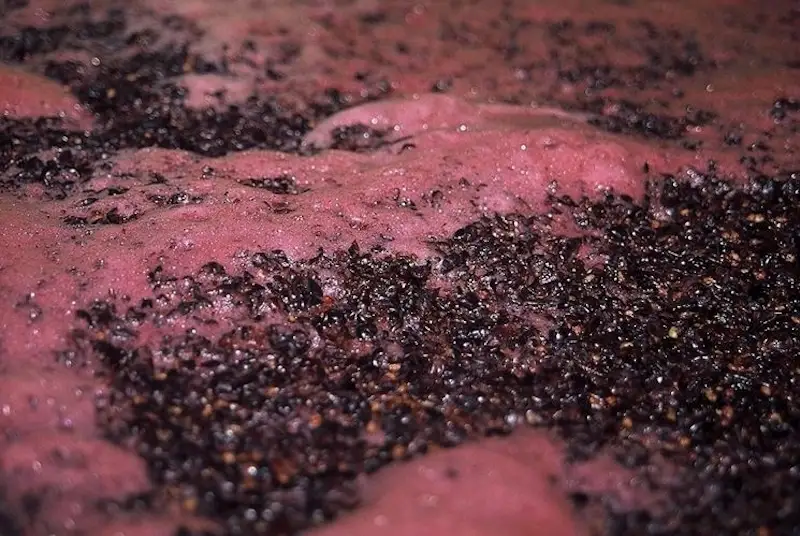 Fermentazione alcolica2